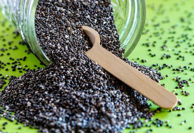 Chia-Seeds-Sustenance-and-Recipes