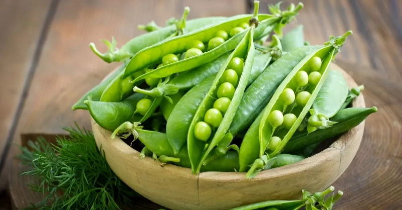 Sugar Snap Peas' Nutrient Content and Health Advantages