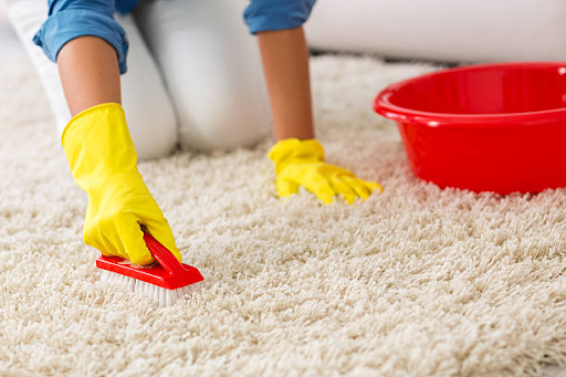 Carpet Cleaners in Dallas