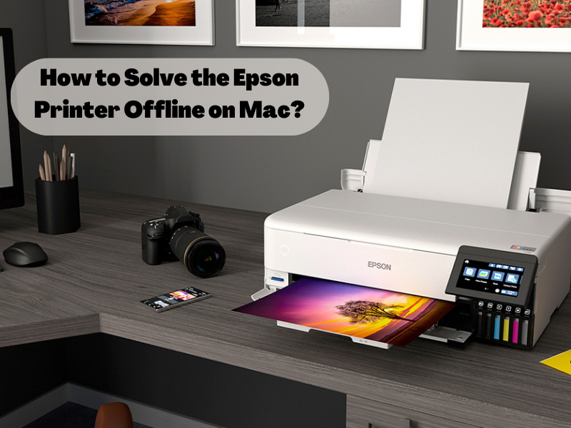 How to Solve the Epson Printer Offline on Mac?
