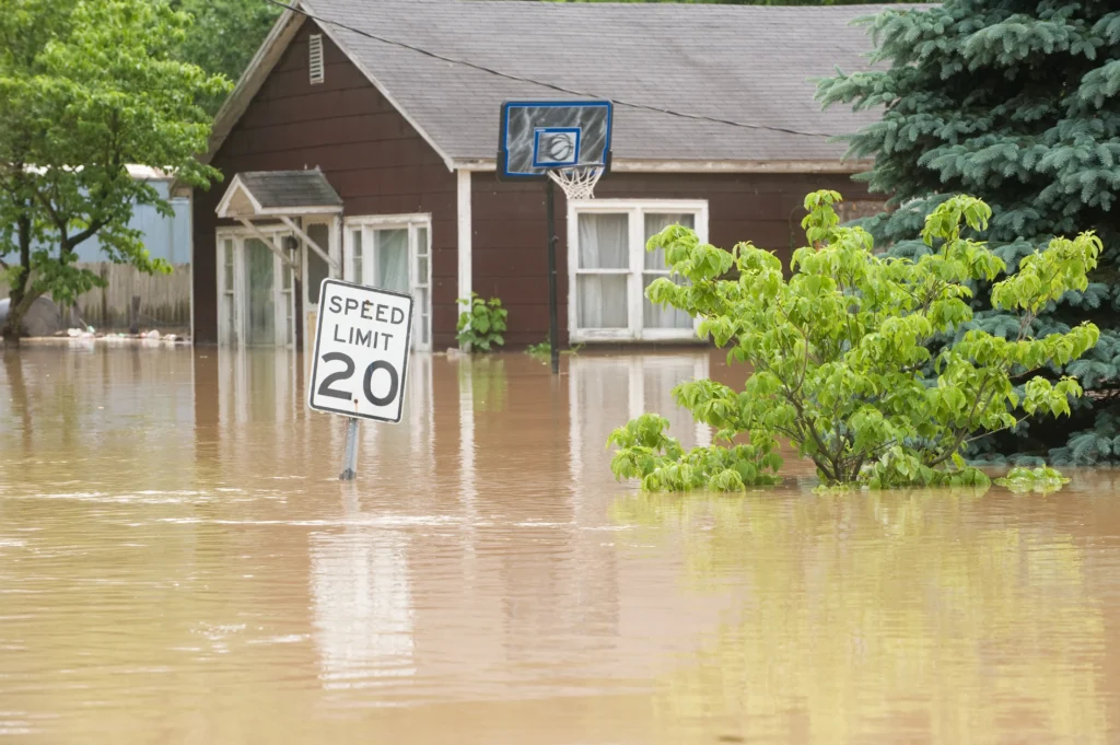 flood damage cleanup Scottsdale AZ