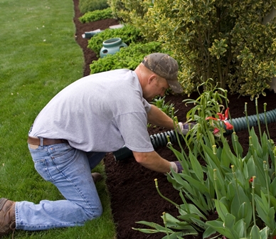 landscaping contractor Manalapan NJ