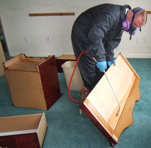 bed bug fumigation Springfield MO