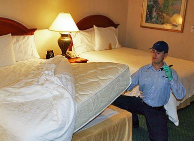 bed bugs fumigation Springfield MO