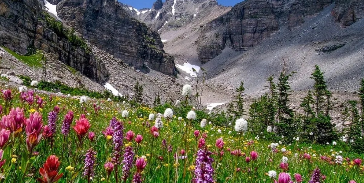 crawl space vapor barrier Greeley CO