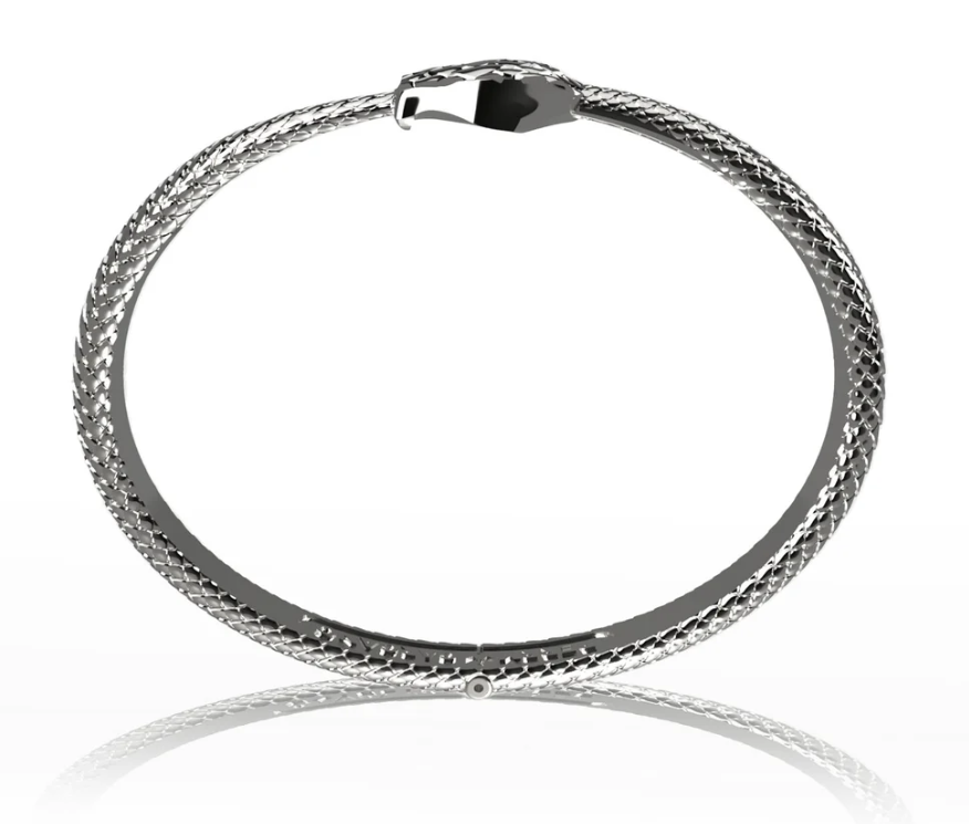 the barbed wire ring