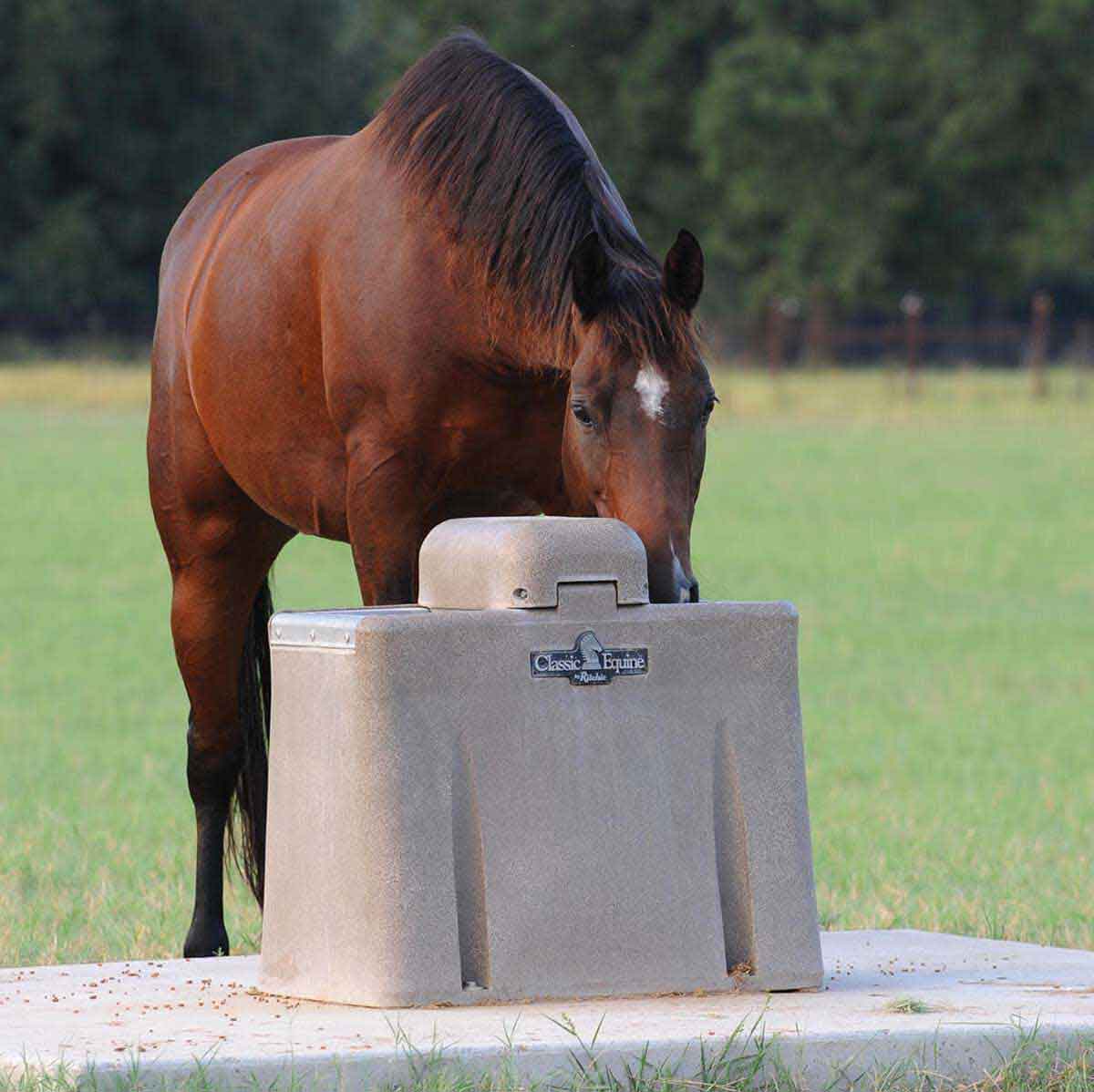 horse waterers